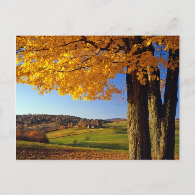 USA, Vermont. Farm Scenic Near South Woodstock Postcard (Front)