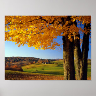 USA, Vermont. Farm Scenic Near South Woodstock Poster