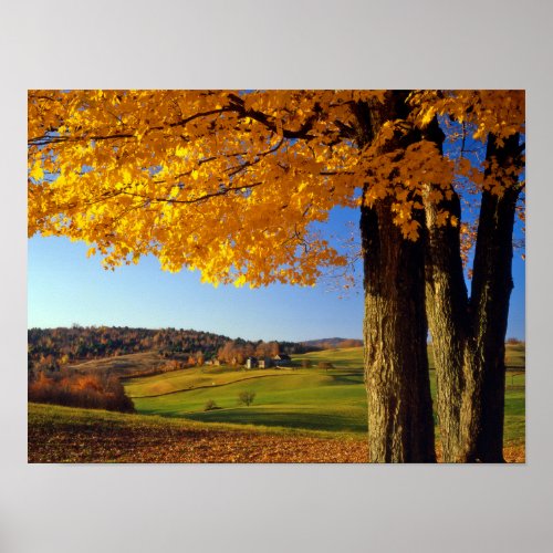 USA Vermont Farm Scenic Near South Woodstock Poster