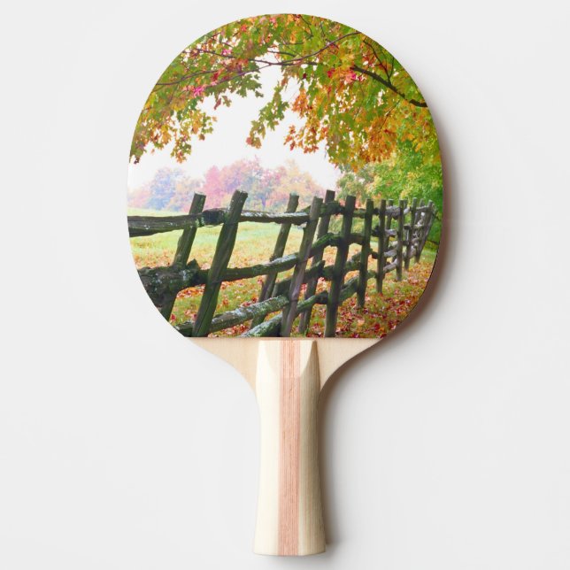 USA, Vermont. Fence under fall foliage. Ping-Pong Paddle (Front)