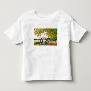 USA, Vermont. Fence under fall foliage. Toddler T-shirt