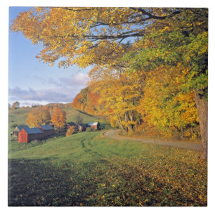 USA, Vermont, Jenne Farm. Fall comes to Jenne Tile