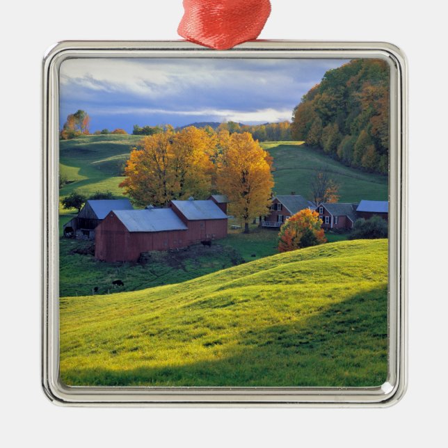 USA, Vermont, Jenne Farm. Rolling green hills Metal Ornament (Front)