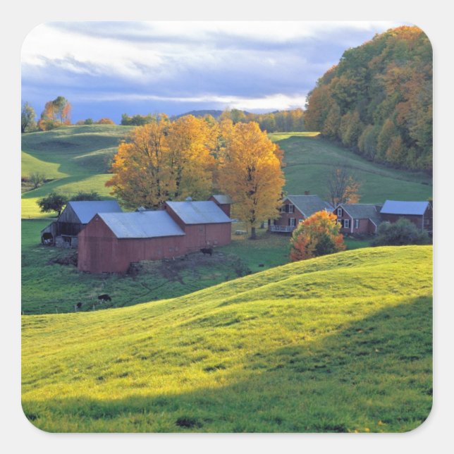 USA, Vermont, Jenne Farm. Rolling green hills Square Sticker (Front)