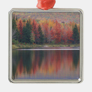 USA, Vermont, McAllister Lake, near Hazens Notch Metal Ornament