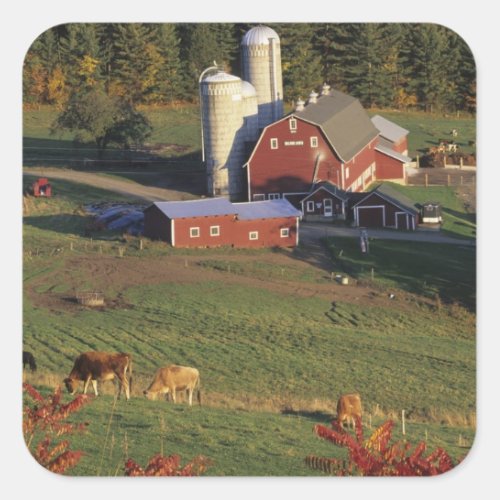 USA Vermont Pomfret Red Barn and fall Square Sticker