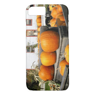 USA, Vermont. Pumpkins iPhone 8/7 Case