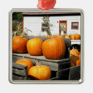 USA, Vermont. Pumpkins Metal Ornament