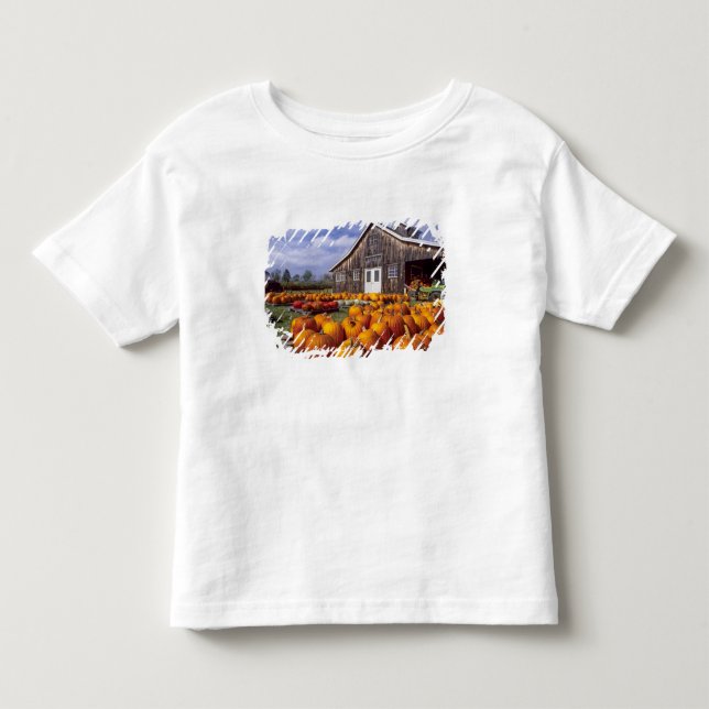 USA, Vermont, Shelbourne, Pumpkins Toddler T-shirt (Front)