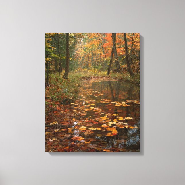 USA, Virginia, Autumn In Douthat State Park Canvas Print (Front)
