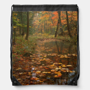 USA, Virginia, Autumn In Douthat State Park Drawstring Bag