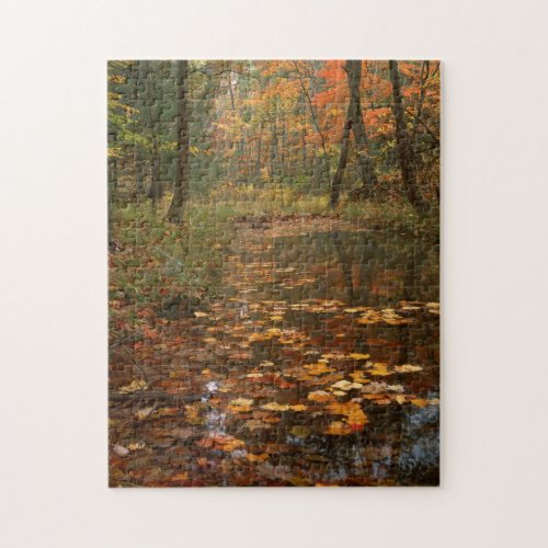 USA Virginia Autumn In Douthat State Park Jigsaw Puzzle