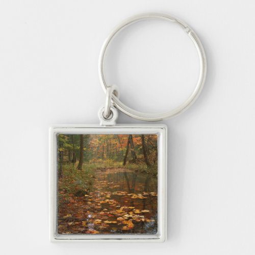 USA Virginia Autumn In Douthat State Park Keychain