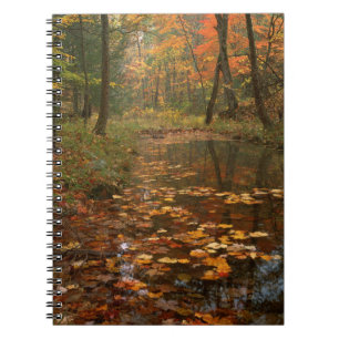 USA, Virginia, Autumn In Douthat State Park Notebook