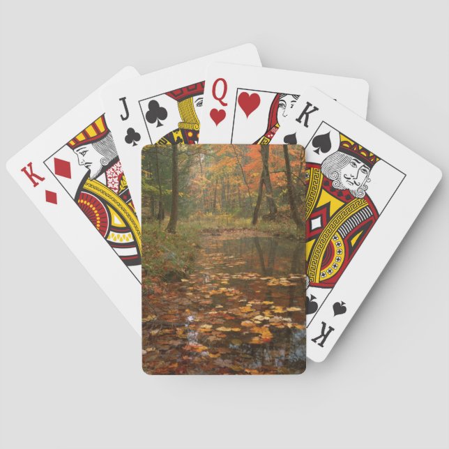 USA, Virginia, Autumn In Douthat State Park Poker Cards (Back)