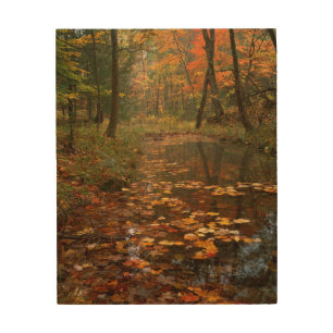 USA, Virginia, Autumn In Douthat State Park Wood Wall Decor