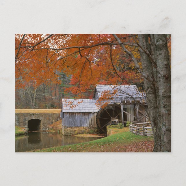 USA, Virginia, Blue Ridge Parkway, Autumn Postcard (Front)