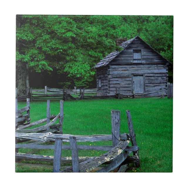 USA, Virginia, Blue Ridge Parkway, The Puckett Tile (Front)