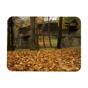 USA, Virginia, Covington, Humpback Covered Magnet