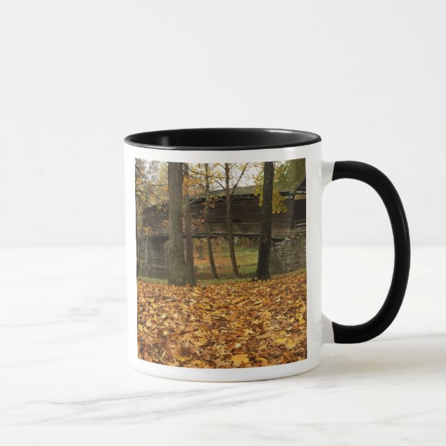 USA, Virginia, Covington, Humpback Covered Mug (Right)