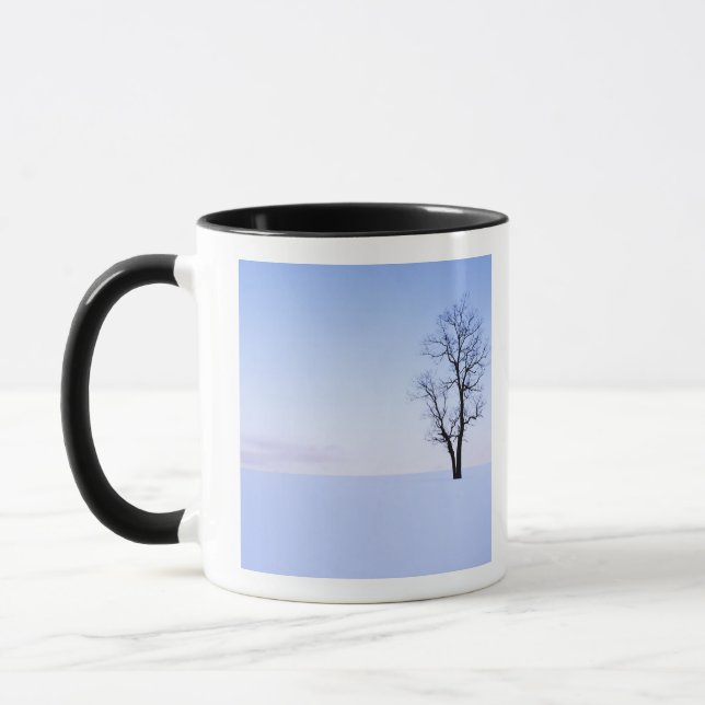 USA, Virginia, Page County, Black Locust Mug (Left)