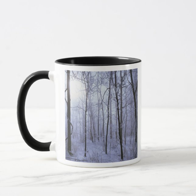 USA, Virginia, Richard Thompson Wildlife Area. Mug (Left)