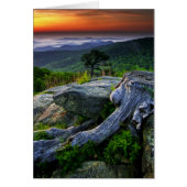USA, Virginia, Shenandoah National Park. (Front)