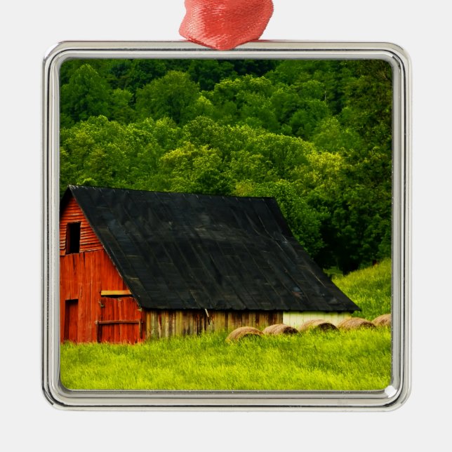 USA, Virginia, Shenandoah National Park, 2 Metal Ornament (Front)
