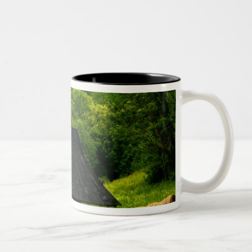 USA Virginia Shenandoah National Park 2 Two_Tone Coffee Mug