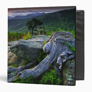 USA, Virginia, Shenandoah National Park. Binder