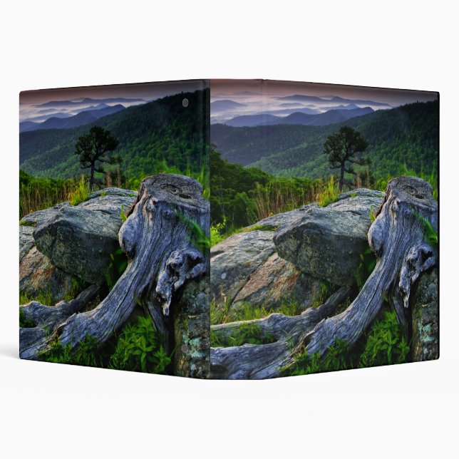 USA, Virginia, Shenandoah National Park. Binder (Background)