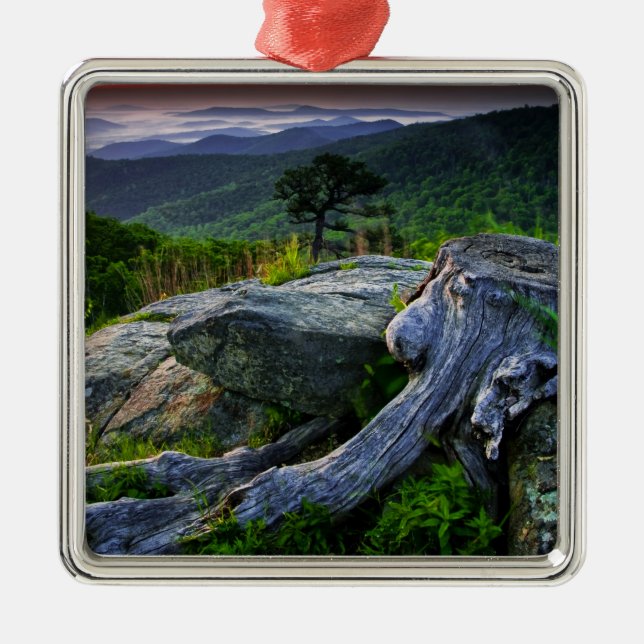 USA, Virginia, Shenandoah National Park. Metal Ornament (Front)
