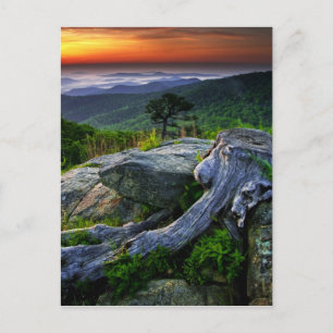 USA, Virginia, Shenandoah National Park. Postcard