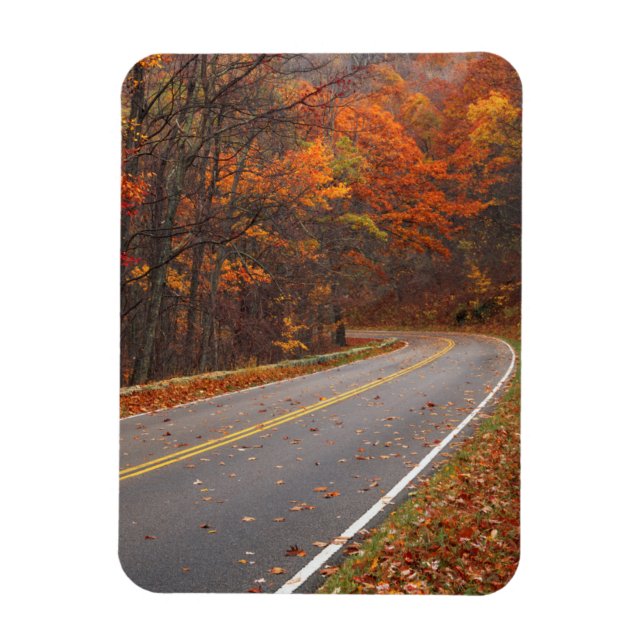 USA, Virginia, Shenandoah National Park, Skyline Magnet (Vertical)