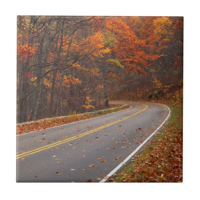 USA, Virginia, Shenandoah National Park, Skyline Tile (Front)