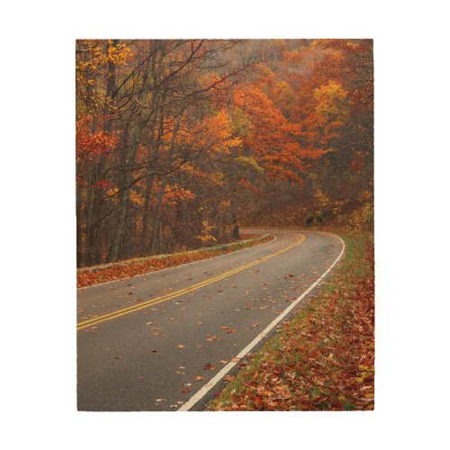 USA Virginia Shenandoah National Park Skyline Wood Wall Art