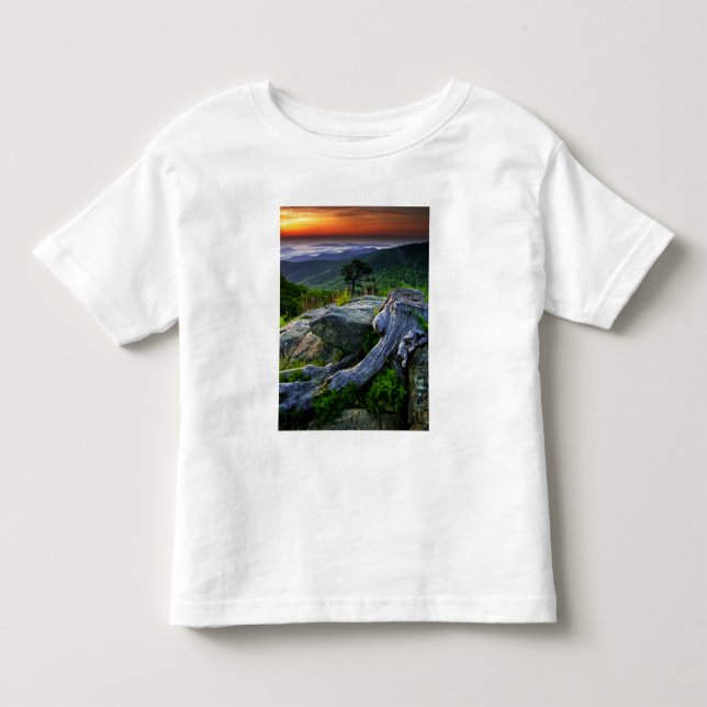 USA, Virginia, Shenandoah National Park. Toddler T-shirt (Front)
