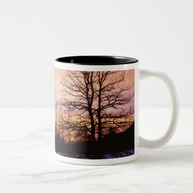 USA, Virginia, Shenandoah National Park, Two-Tone Coffee Mug (Right)