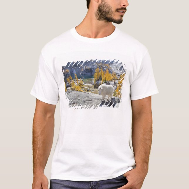 USA, WA, Alpine Lakes WIlderness Enchantments. T-Shirt (Front)