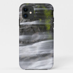 USA, WA, Mt. Rainier NP, Narada Falls iPhone 11 Case