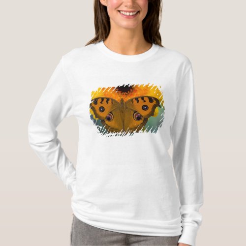 USA WA Sammamish Tropical Butterfy 2 T_Shirt