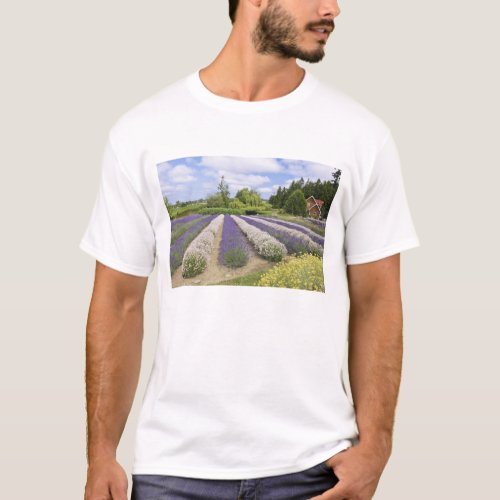 USA WA Sequim Purple Haze Lavender Farm T_Shirt