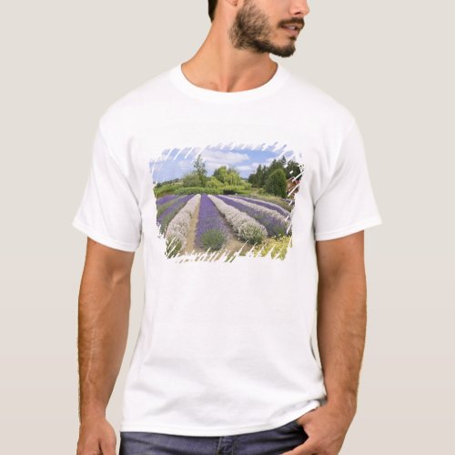 USA WA Sequim Purple Haze Lavender Farm T_Shirt