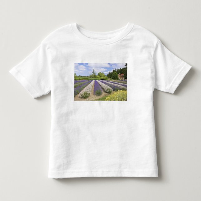 USA, WA, Sequim, Purple Haze Lavender Farm Toddler T-shirt (Front)