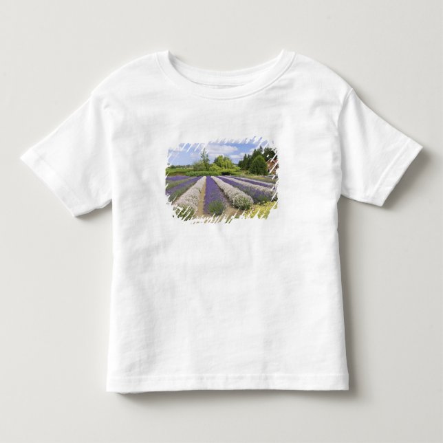 USA, WA, Sequim, Purple Haze Lavender Farm Toddler T-shirt (Front)