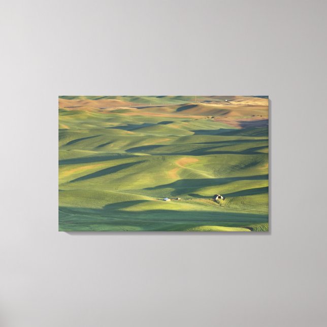 USA, WA, Whitman Co., Palouse Farm Fields From Canvas Print (Front)