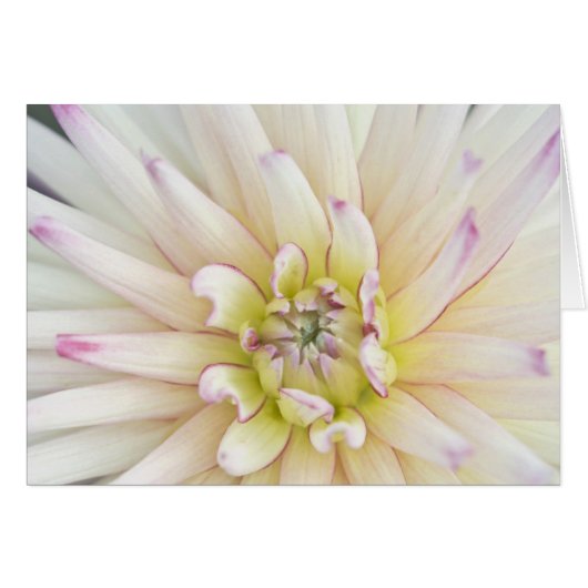 USA, Washington, Bellevue, Bellevue Botanical 2 (Front Horizontal)