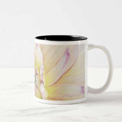 USA Washington Bellevue Bellevue Botanical 2 Two_Tone Coffee Mug