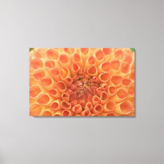 USA, Washington, Bellevue, Bellevue Botanical 3 Canvas Print (Front)