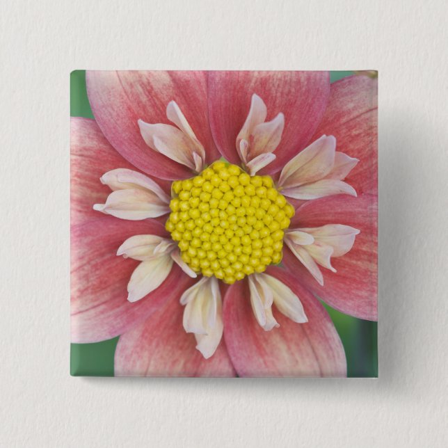 USA, Washington, Bellevue, Bellevue Botanical Pinback Button (Front)